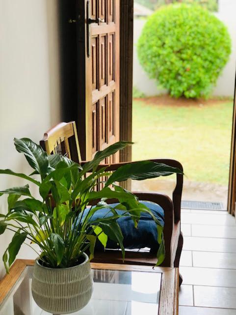 Danville Forest Guest House & Apartments Durban Kültér fotó